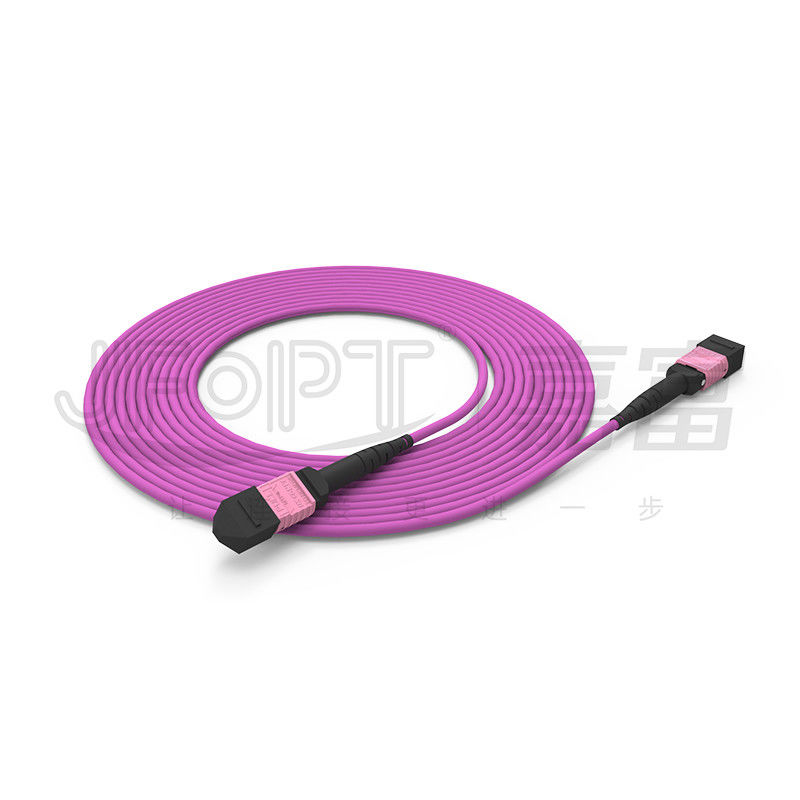 100G MTP 패치 코드 24 핵심 다중 모드 OM4 50/125 LSZH 3.0-4.0mm 히스 속의 상록 관목 바이올렛 점퍼