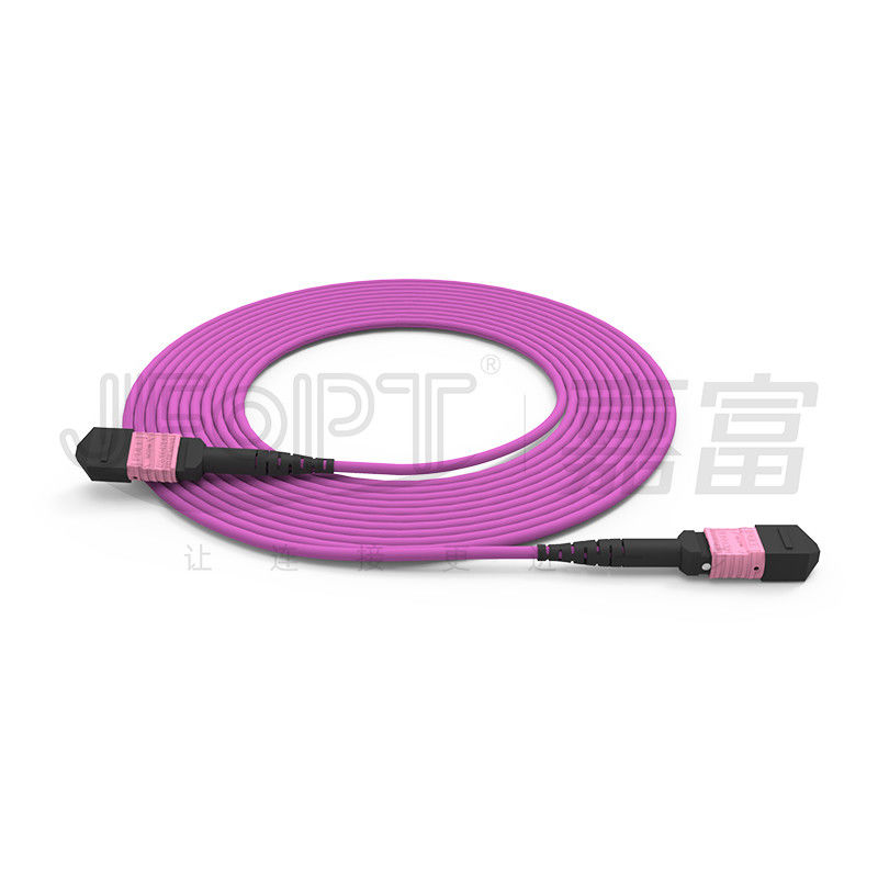 100G MTP 패치 코드 24 핵심 다중 모드 OM4 50/125 LSZH 3.0-4.0mm 히스 속의 상록 관목 바이올렛 점퍼