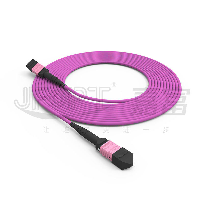 100G MTP 패치 코드 24 핵심 다중 모드 OM4 50/125 LSZH 3.0-4.0mm 히스 속의 상록 관목 바이올렛 점퍼