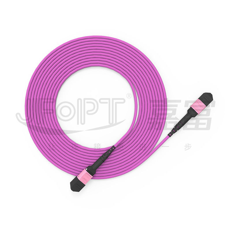 100G MTP 패치 코드 24 핵심 다중 모드 OM4 50/125 LSZH 3.0-4.0mm 히스 속의 상록 관목 바이올렛 점퍼