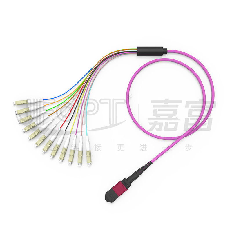 12 핵심 MPO는 LC 탈출 다중 모드 패치 코드 OM1 OM2 OM3 OM4 OM5 0.9 밀리미터에 갈라집니다