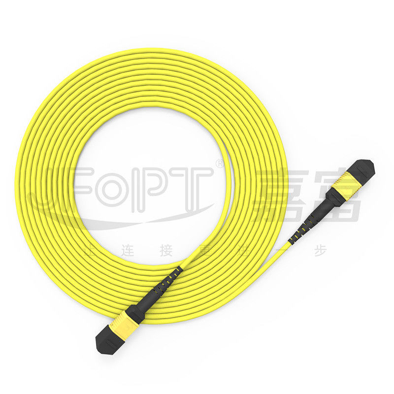 12-코어 MPO 트렁크 케이블 패치 코드 단일 모드 G657A1/G657A2 3.0 LSZH A/B 포러리티 역전