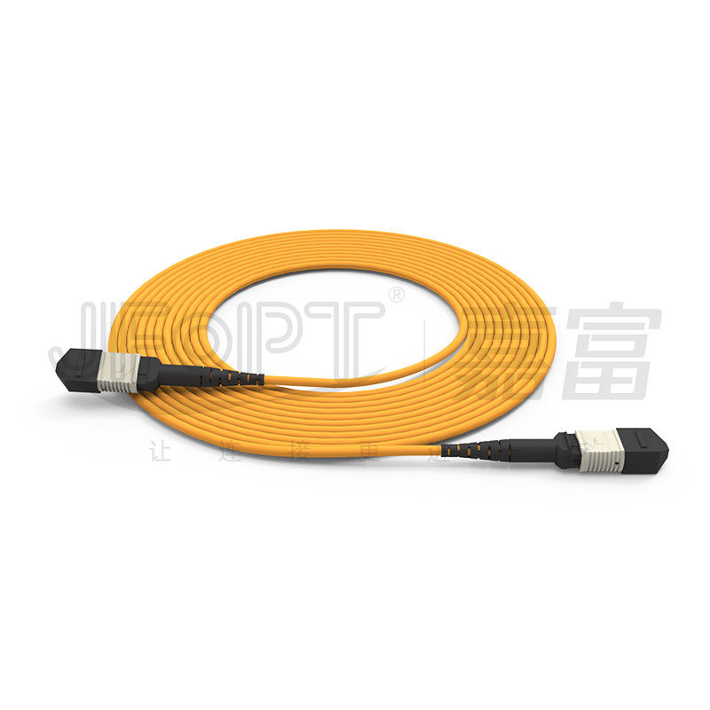 850nm 멀티모드 저손실 페룰 MPO 트렁크 케이블 멀티 코어 광섬유 패치 코드
